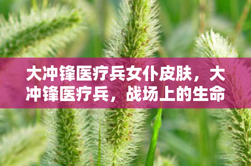 大冲锋医疗兵女仆皮肤图片