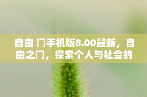 探索个人与社会的边界图片