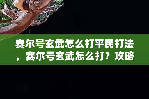 赛尔号玄武怎么打平民打法图片