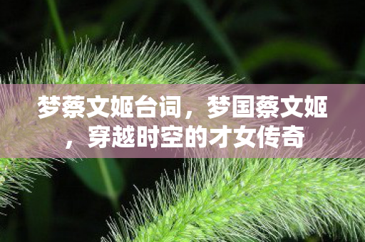 穿越时空的才女传奇图片