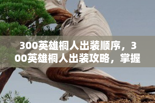 300英雄桐人出装顺序，300英雄桐人出装攻略，掌握核心装备，驰骋战场！