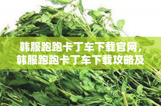 韩服跑跑卡丁车下载官网，韩服跑跑卡丁车下载攻略及体验分享