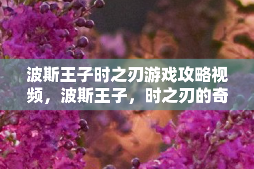 波斯王子时之刃游戏攻略视频图片