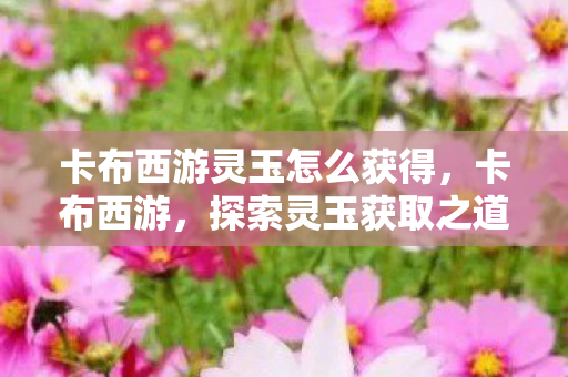 卡布西游灵玉怎么获得图片