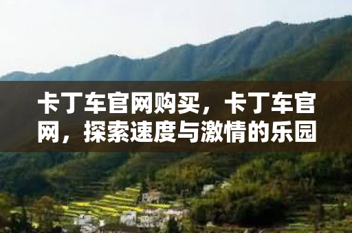 卡丁车官网购买，卡丁车官网，探索速度与激情的乐园