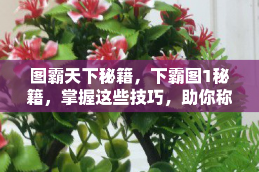 助你称霸游戏世界图片