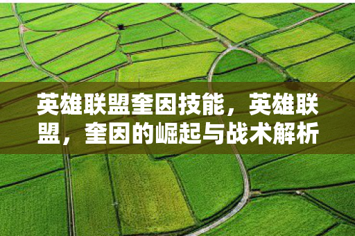 奎因的崛起与战术解析图片