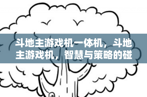 斗地主游戏机一体机图片