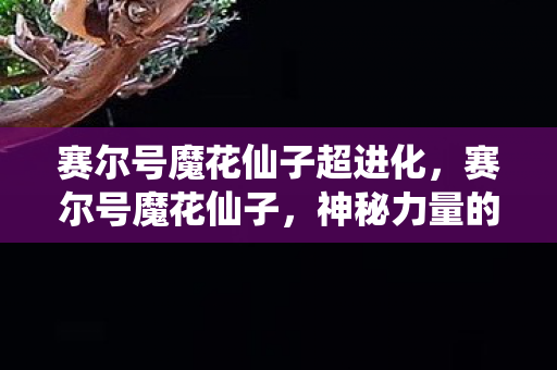 赛尔号魔花仙子超进化图片