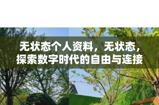 探索数字时代的自由与连接图片