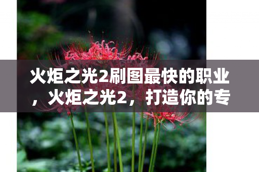 火炬之光2刷图最快的职业图片