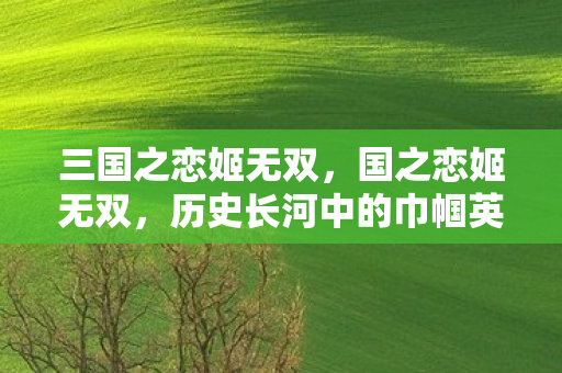 历史长河中的巾帼英雄图片