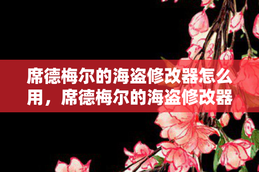 席德梅尔的海盗修改器怎么用图片