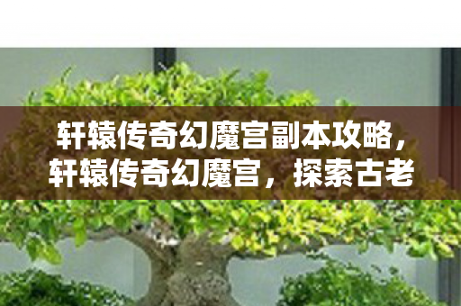 轩辕传奇幻魔宫副本攻略图片