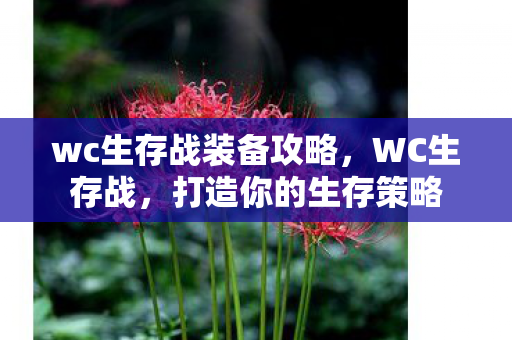 wc生存战装备攻略图片