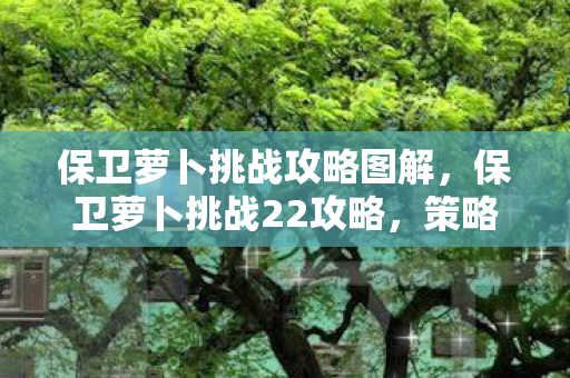 保卫萝卜挑战攻略图解图片