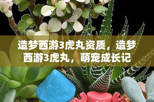 造梦西游3虎丸资质图片