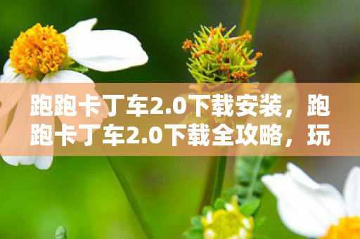 跑跑卡丁车2.0下载安装，跑跑卡丁车2.0下载全攻略，玩转新一代赛车游戏