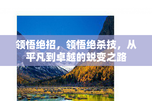 从平凡到卓越的蜕变之路图片