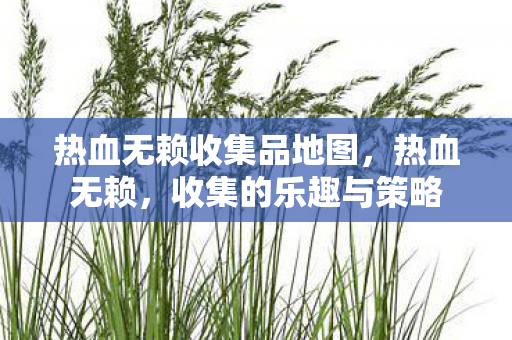 热血无赖收集品地图图片