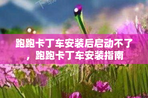 跑跑卡丁车安装后启动不了，跑跑卡丁车安装指南