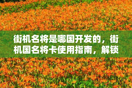 街机名将是哪国开发的图片