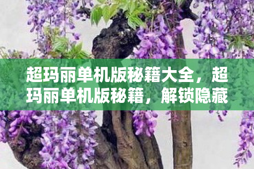 解锁隐藏关卡与无限生命图片