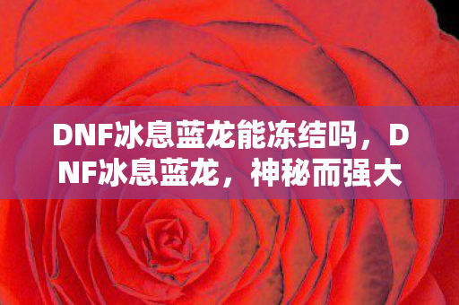 DNF冰息蓝龙能冻结吗图片
