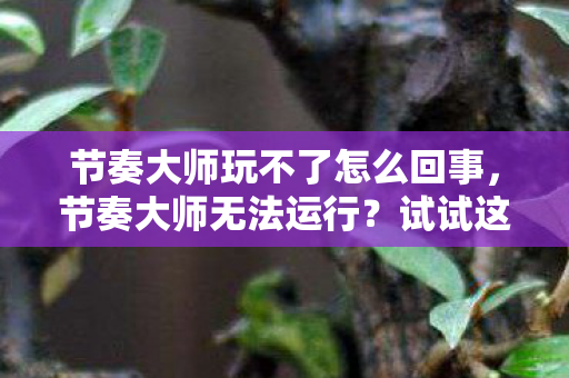 节奏大师玩不了怎么回事图片