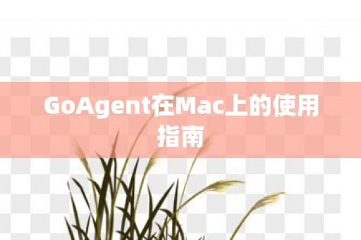 GoAgent在Mac上的使用指南图片