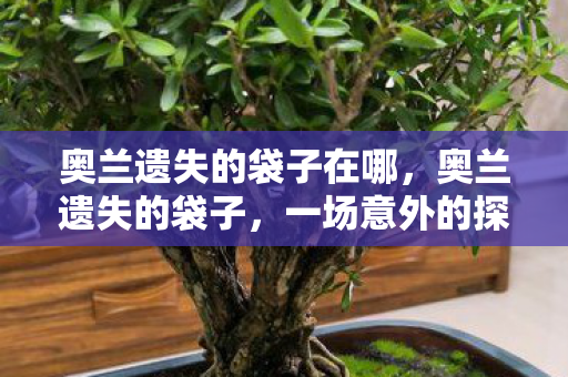 一场意外的探险与发现图片