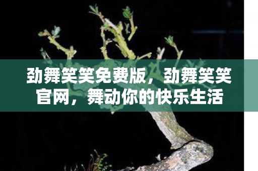 舞动你的快乐生活图片