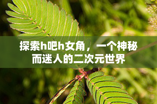 一个神秘而迷人的二次元世界图片