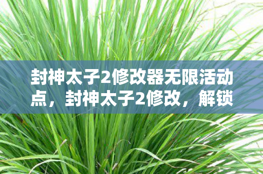 封神太子2修改器无限活动点图片