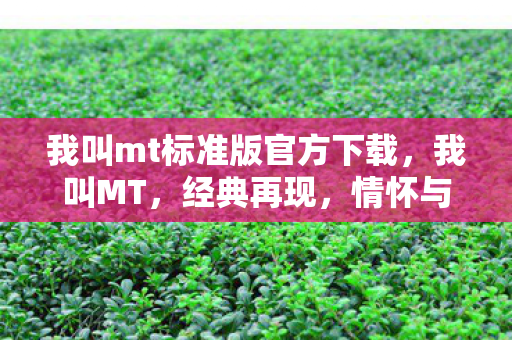 我叫mt标准版官方下载图片