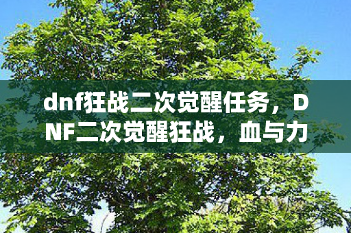 dnf狂战二次觉醒任务图片