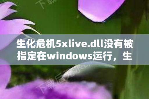 dll没有被指定在windows运行图片