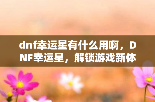 dnf幸运星有什么用啊图片