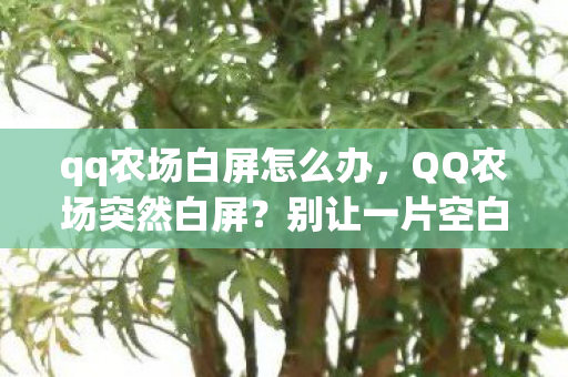 qq农场白屏怎么办，QQ农场突然白屏？别让一片空白切断你的青春回忆，这份抢救指南请收好！
