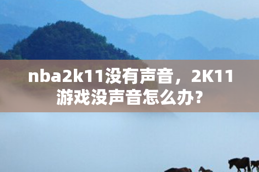 2K11游戏没声音怎么办图片