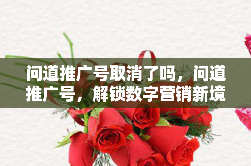 问道推广号取消了吗图片