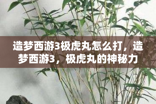 造梦西游3极虎丸怎么打图片