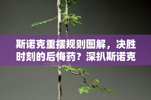 斯诺克重摆规则图解，决胜时刻的后悔药？深扒斯诺克重摆规则里的毫厘乾坤与人性博弈