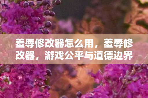 游戏公平与道德边界的探讨图片