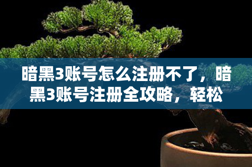 暗黑3账号怎么注册不了图片