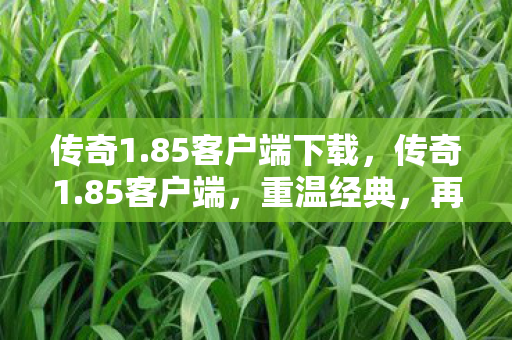 85客户端下载图片