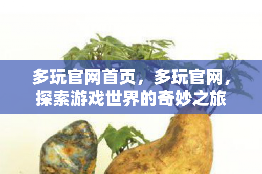 探索游戏世界的奇妙之旅图片