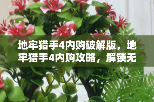 地牢猎手4内购破解版图片