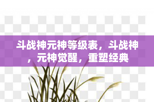 斗战神元神等级表图片