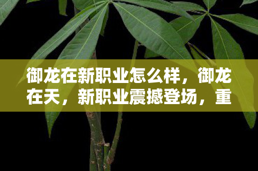 御龙在新职业怎么样图片